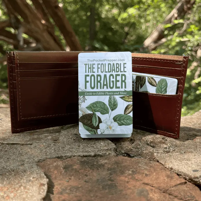 foldable foragers